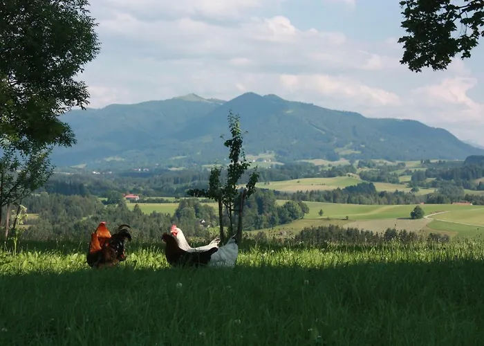 Apartamento Ferien Beim Baur