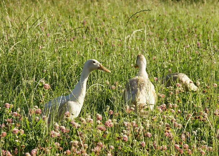 Apartamento Ferien Beim Baur