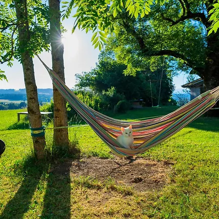 Ferien Beim Baur