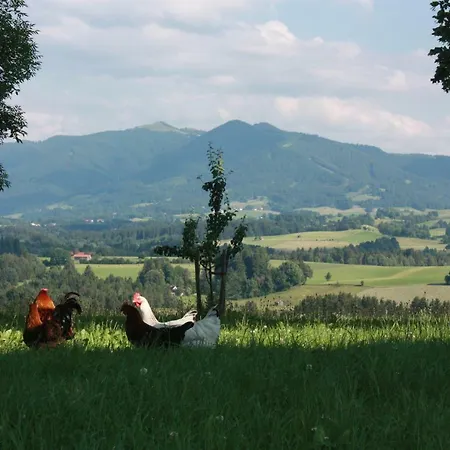 Appartement Ferien Beim Baur