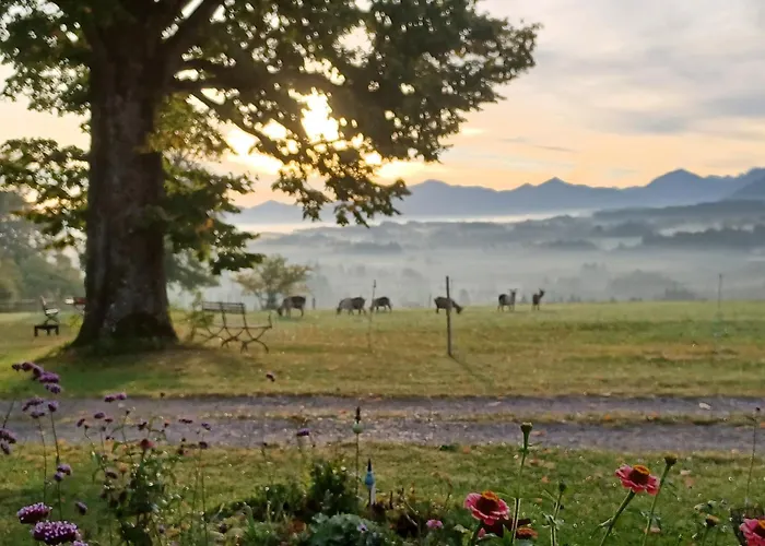Ferien Beim Baur Bad Bayersoien