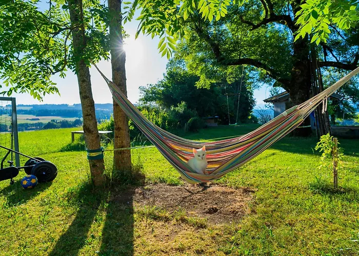 Ferien Beim Baur