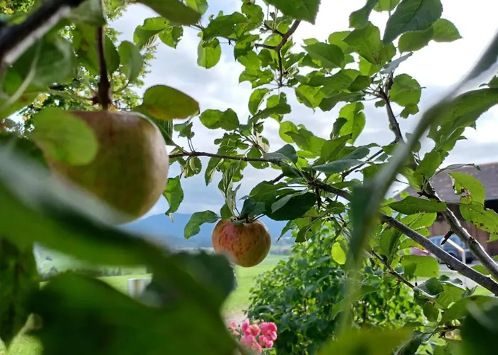 Ferien Beim Baur Апартаменты *